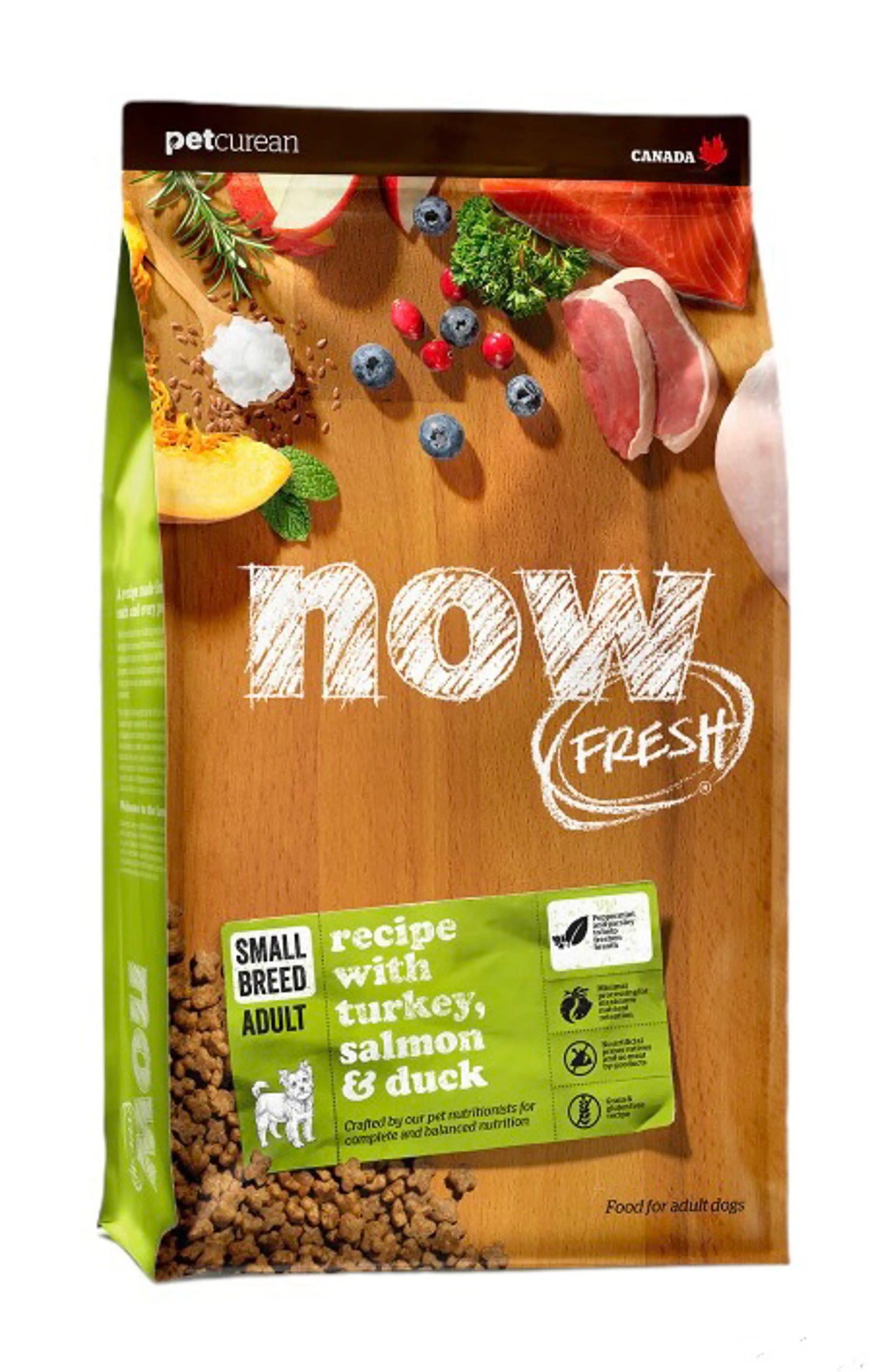 נאו כלב בוגר מיני