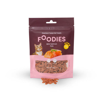 חטיף FOODIES לחתול דגיגוני סלמון 50 גרם