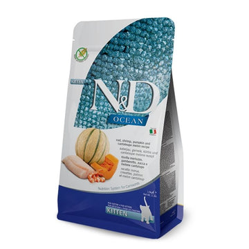 ND אושן קוד דלעת מלון חתלתולים 5 קילו