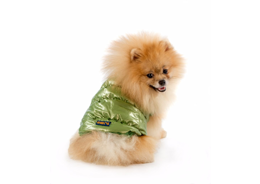 מעיל ירוק מחמם לכלב ריבוס