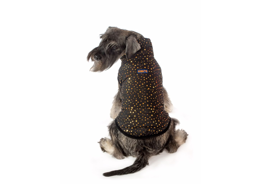מעיל שחור עם כוכבים לכלב ריבוס
